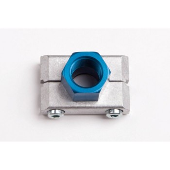 Πλάκα εξαγωγής Teseo